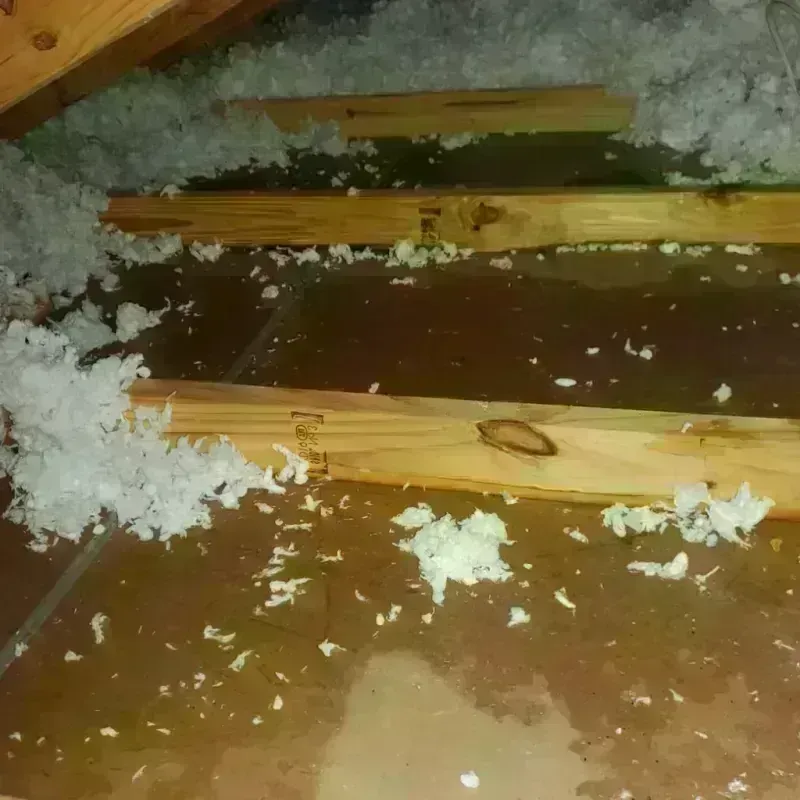 Attic Water Damage in Eastwood, MI