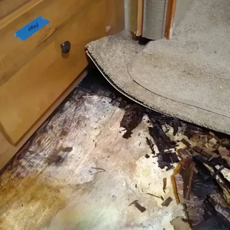 Wood Floor Water Damage in Eastwood, MI